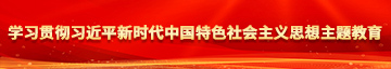 BB痒高潮故事学习贯彻习近平新时代中国特色社会主义思想主题教育